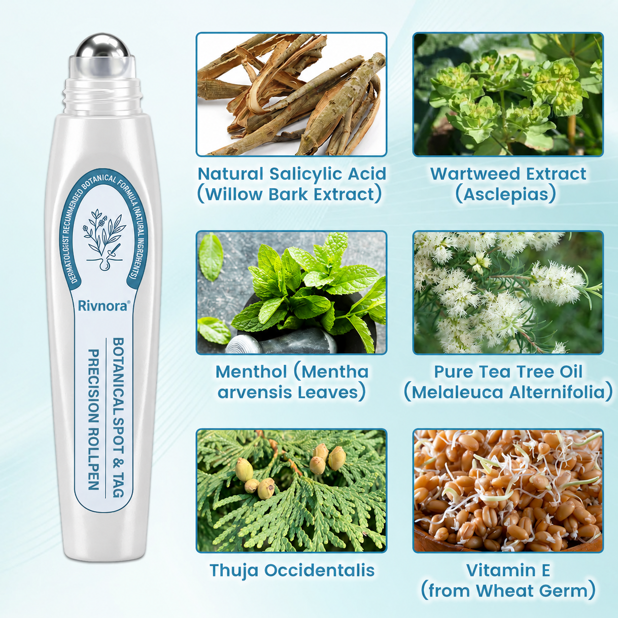 🍃Botanical Spot & Tag Precision RollPen