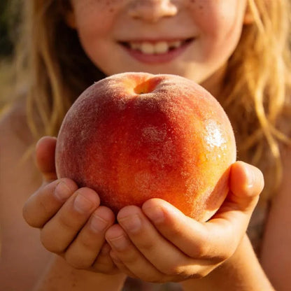 🔥 65K+ SOLD! 🍑 Rare Honey Red Dwarf Peach Seeds – Sweet Fruit, Small Space Friendly