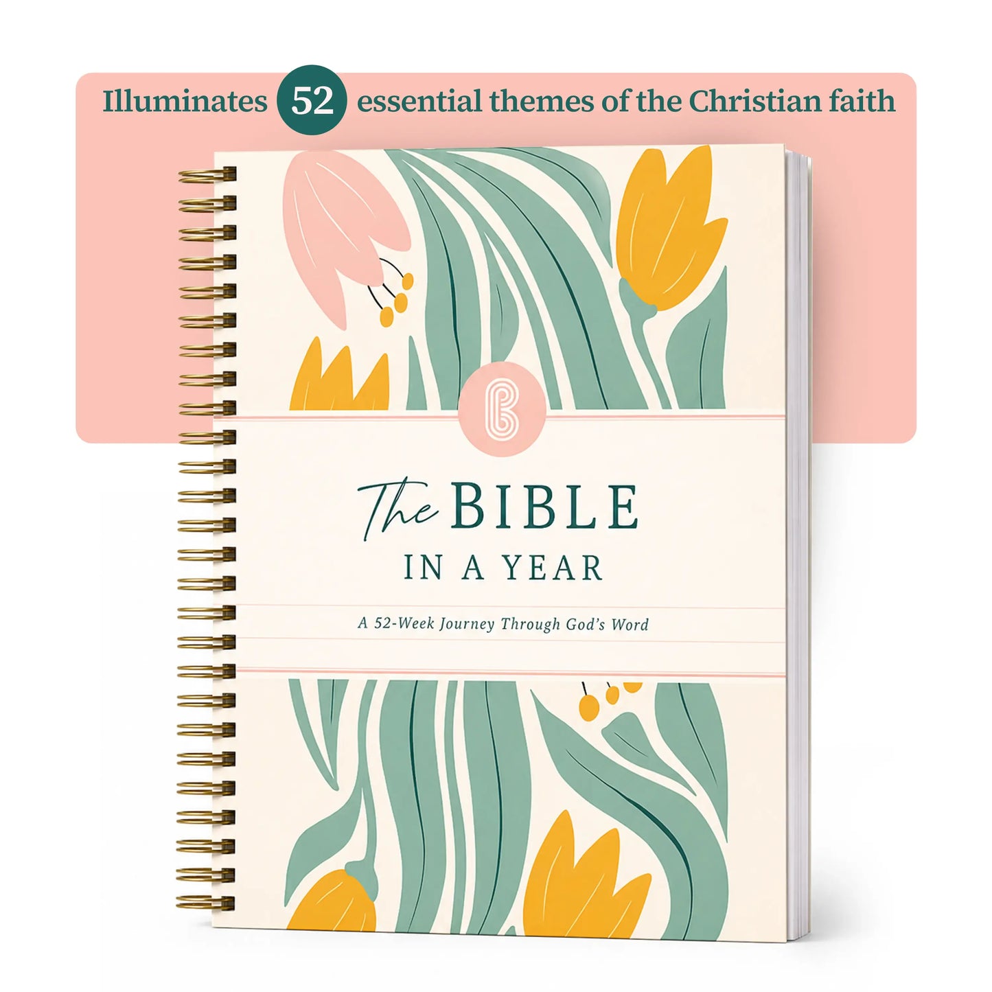 🔥LAST DAY 49% OFF ✝️📚A Year in the Bible: A 52-Week Study(✨Hardcover Book)
