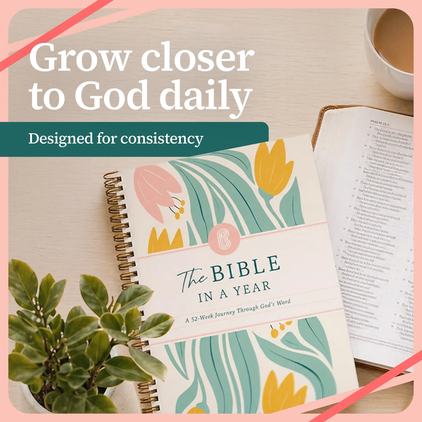 🔥LAST DAY 49% OFF ✝️📚A Year in the Bible: A 52-Week Study(✨Hardcover Book)